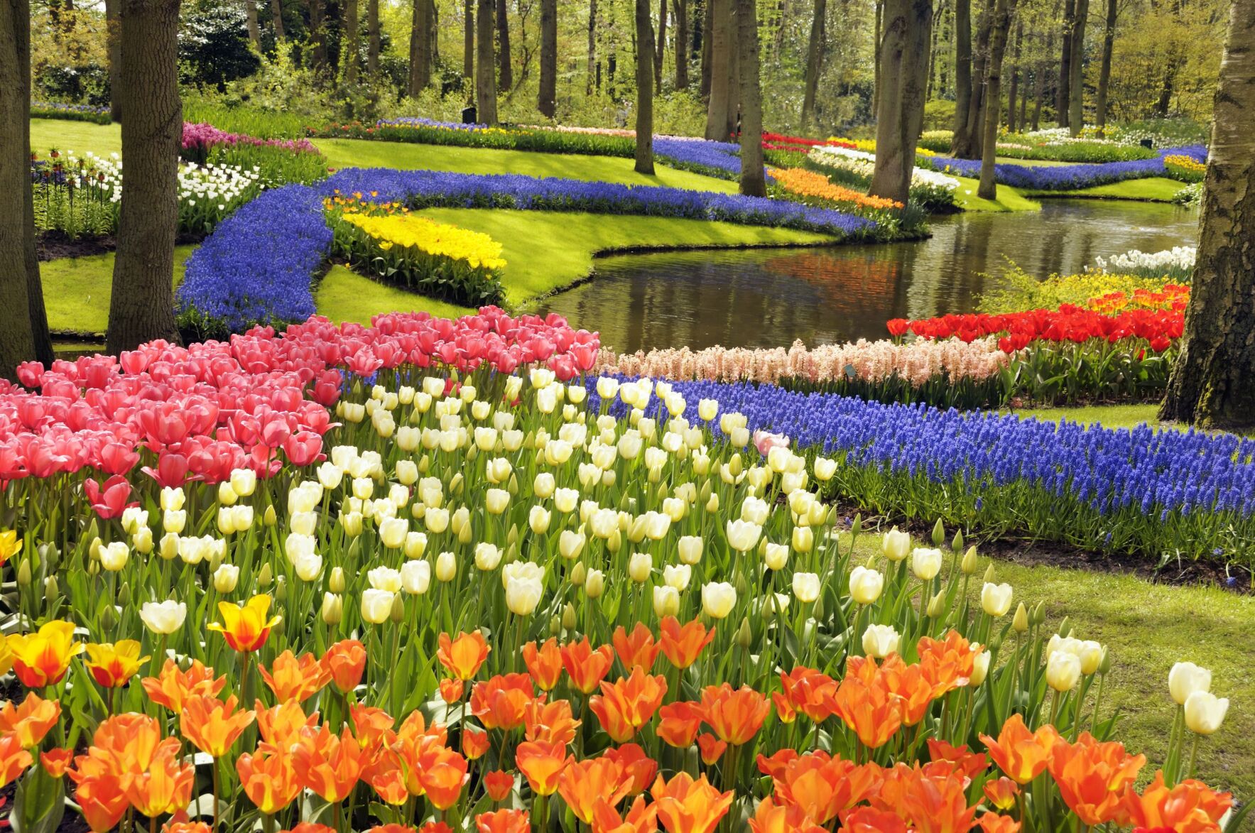 Growing A Lovely Flower Garden In Malaysia